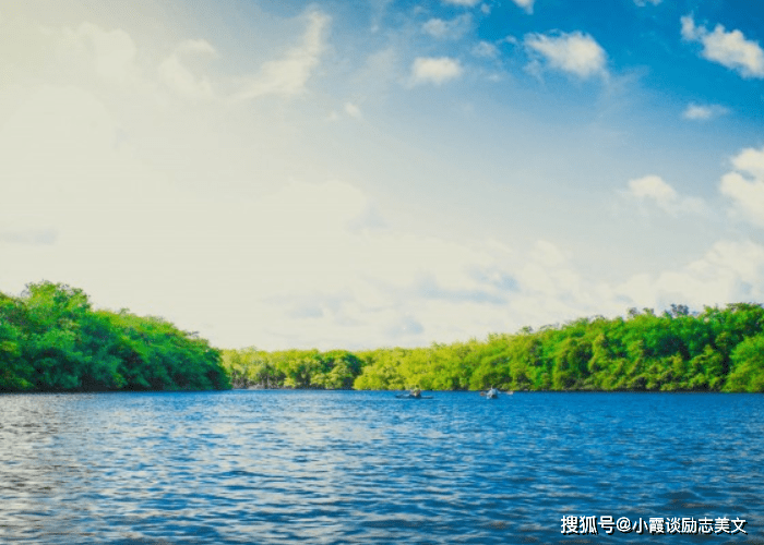 11月,财来运转,喜获丰收的星座,前程似锦绣,财运常伴身