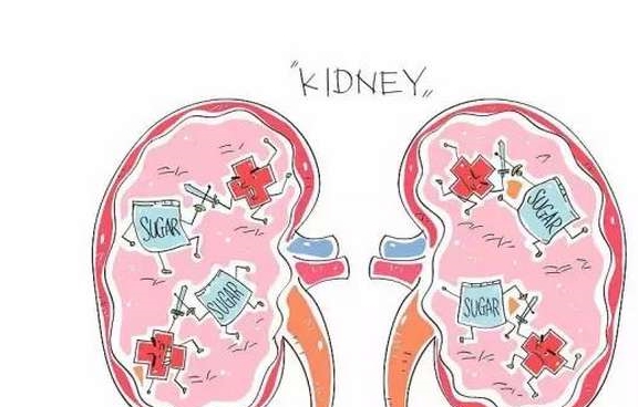 蛋白|肾病不能吃豆制品？有人说可以，是谁在说谎？
