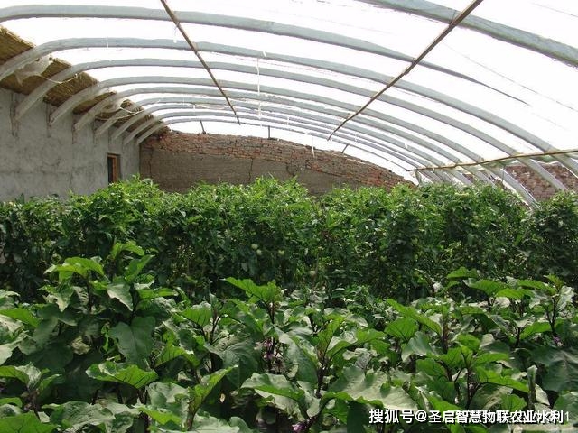 智能蔬菜大棚,自动控制大棚环境,自动灌溉
