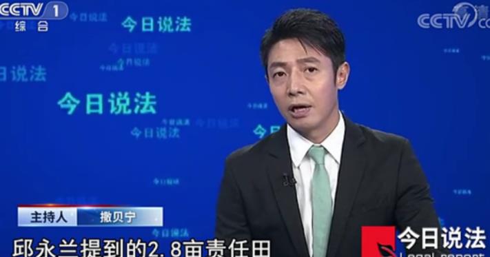 现实|撒贝宁回归今日说法,观众的反馈好现实,芳心纵心犯果真名不虚传