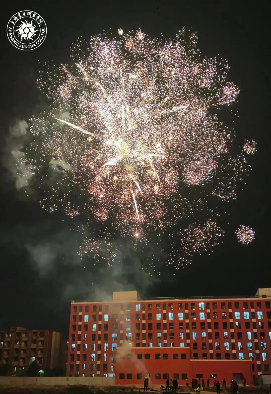 天的震旦校园上演了一场绚丽的烟花秀快来和团团一起欣赏这璀璨的星河叭~