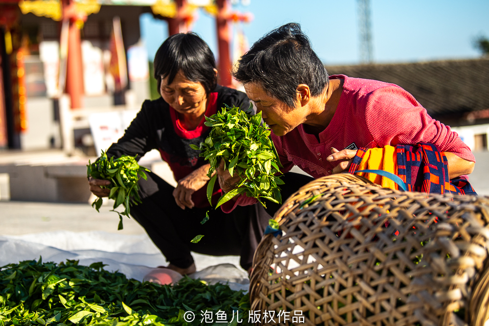 李工坑|畲族源自潮州？广东深山发现一神秘古村，500族人自称盘瓠后代