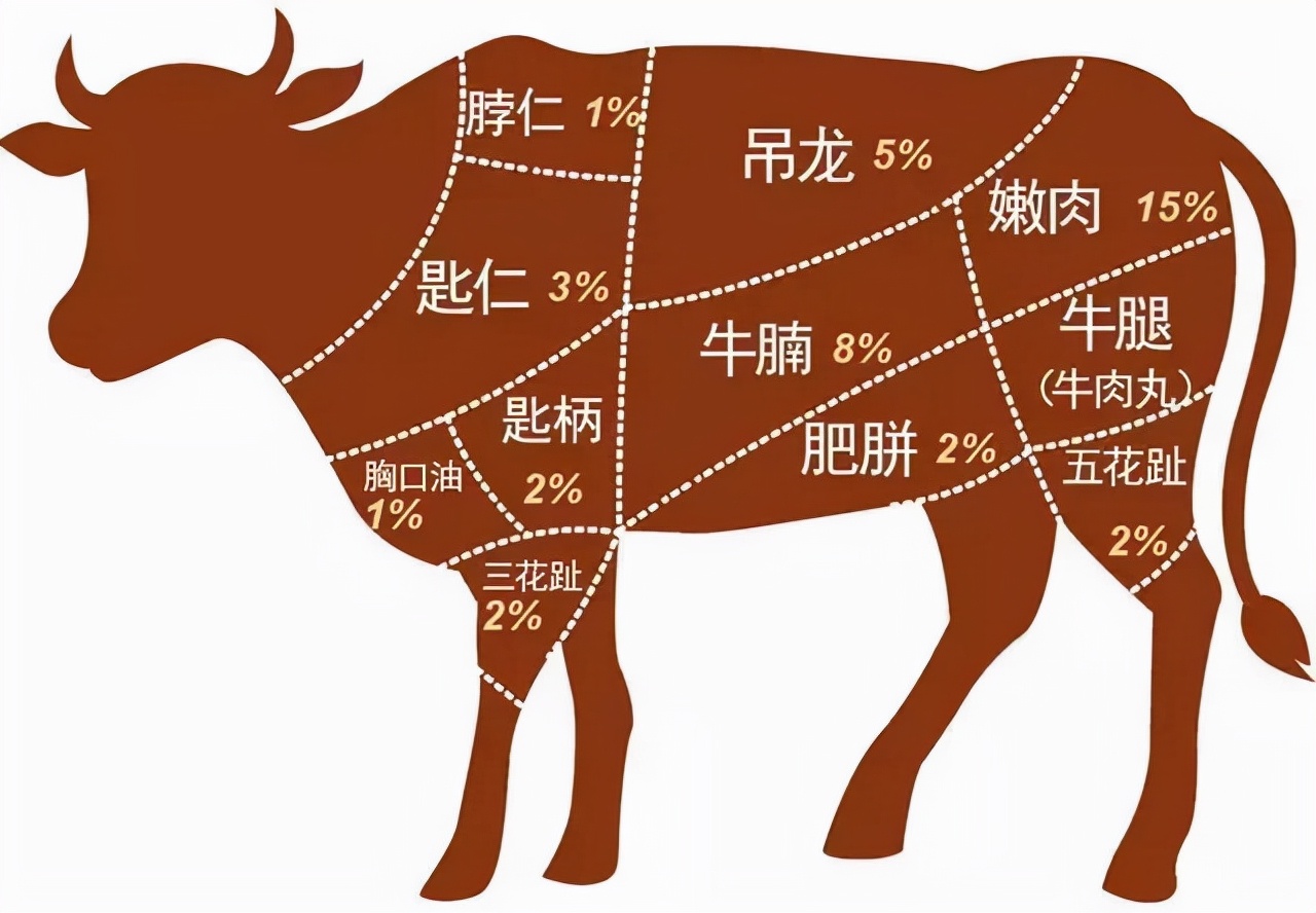 牛的部位分解图高清图图片