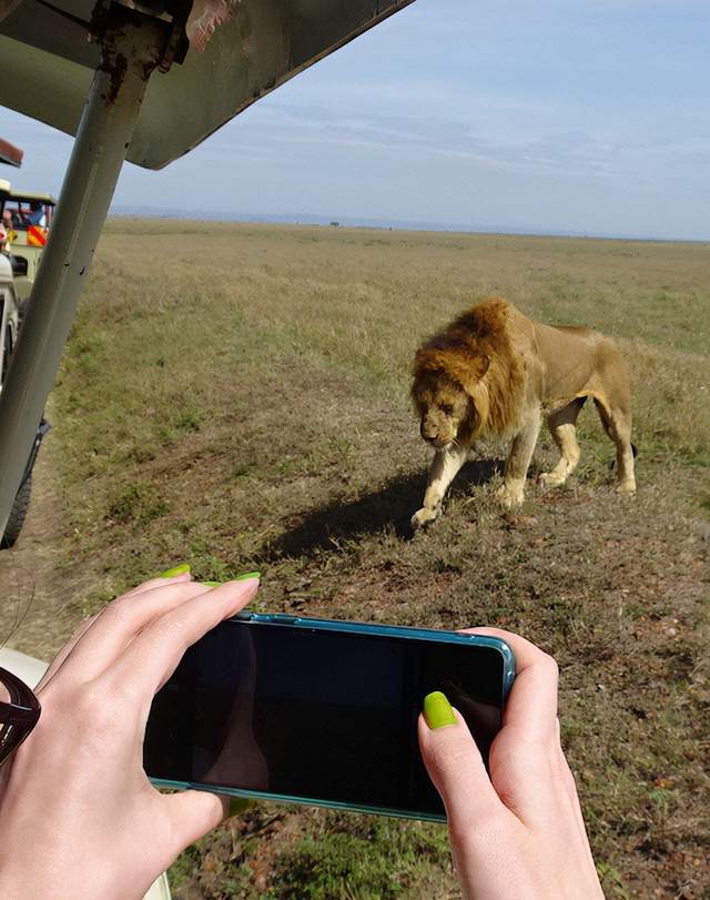 野生动物园|肯尼亚Safari精选 拍摄于2021年11月