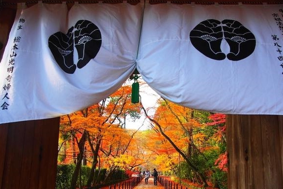 原创最令人期待的日本之秋，莫过于这一抹红