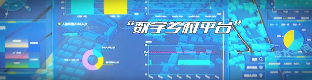 偷盗？乱扔垃圾？不存在的！摄像头全天候监控，这个平台已覆盖803个乡村！