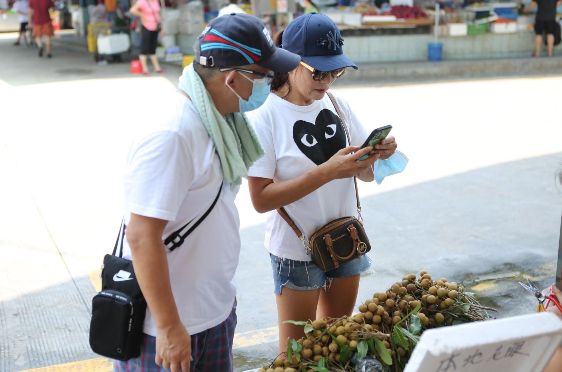 年份|南希和大熊：入门葡萄酒如何选？