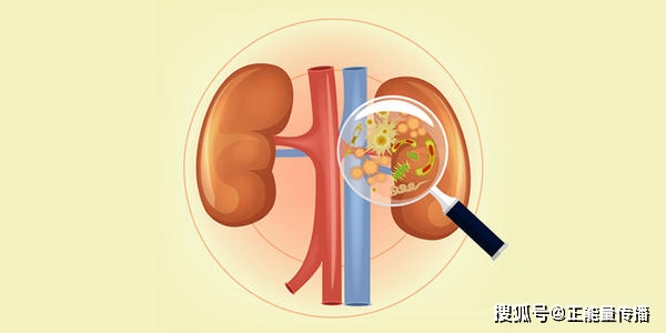 肾脏|肾功受损,身体知道!肾衰竭的6个早期症状,或是都被你忽视了