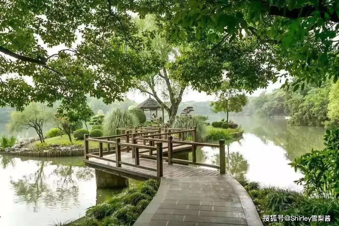 隐于上海市区的“皇家园林”，过去不对外开放，只有一个神秘的数字代号