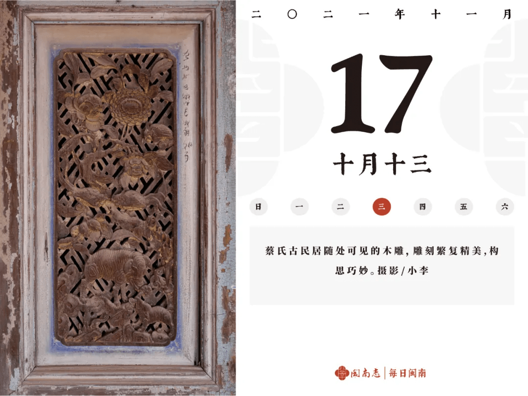 小陈 闽南志每日闽南 11.15~11.21集锦