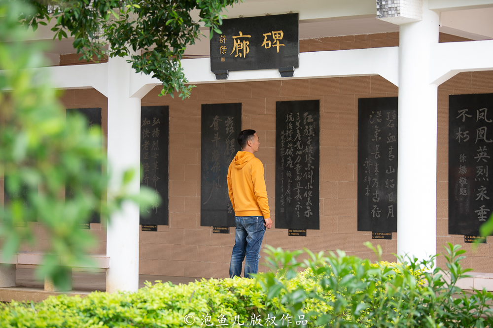 凤凰|潮州“刘胡兰”，12岁当交通员送情报，牺牲时年仅16岁