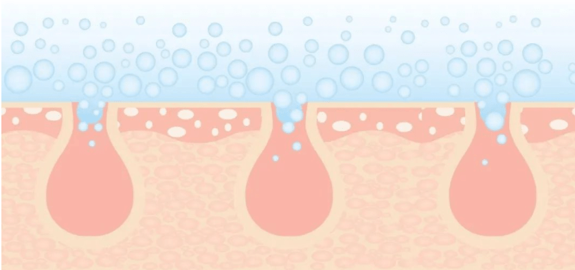 功效养好皮肤其实并不难，这份最全的护肤“入门秘籍”，建议收藏！