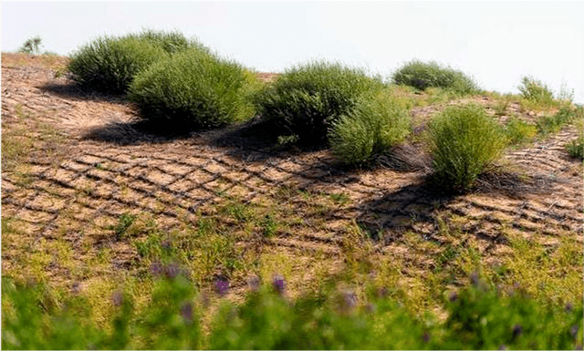 原创从外部调水来绿化塔克拉玛干沙漠有可行性吗