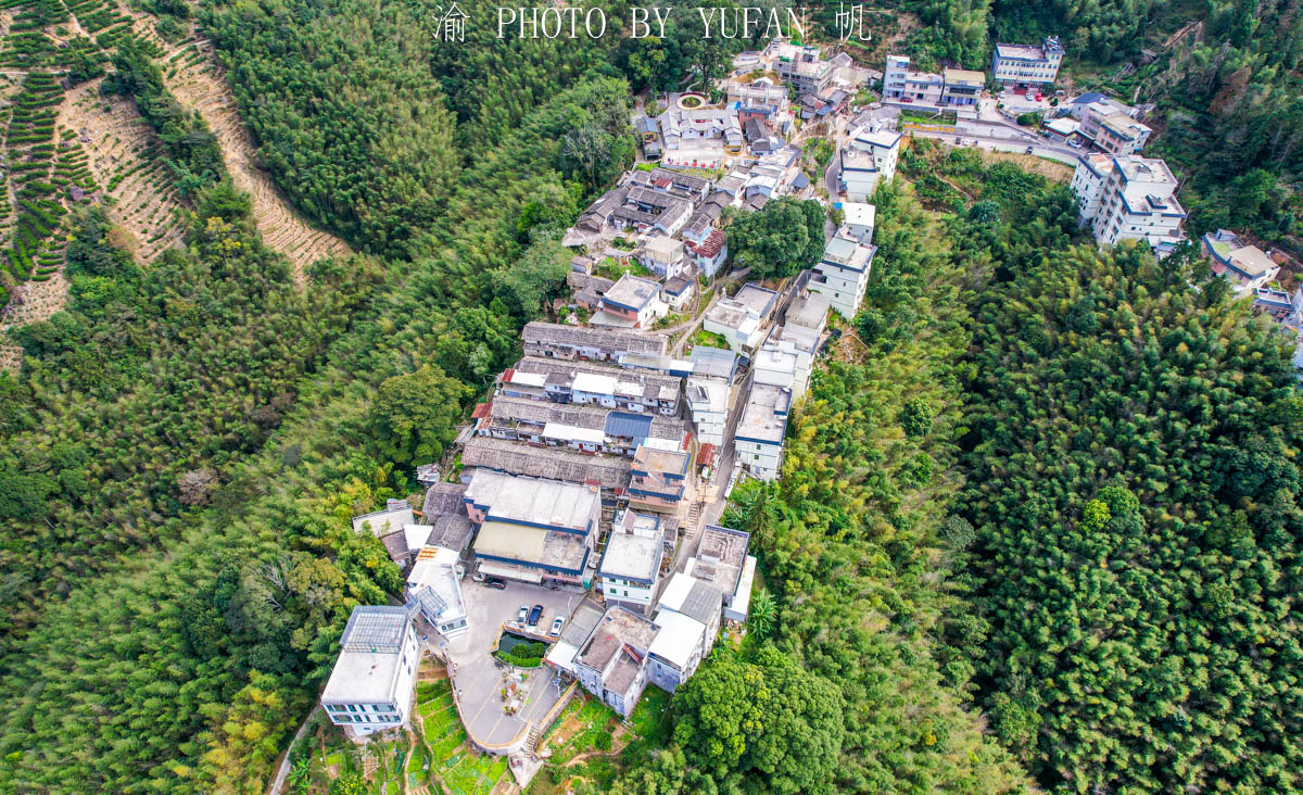 叶子而|藏在粤东大山里的世外桃源，形如山中半岛，村民因一片叶子而致富