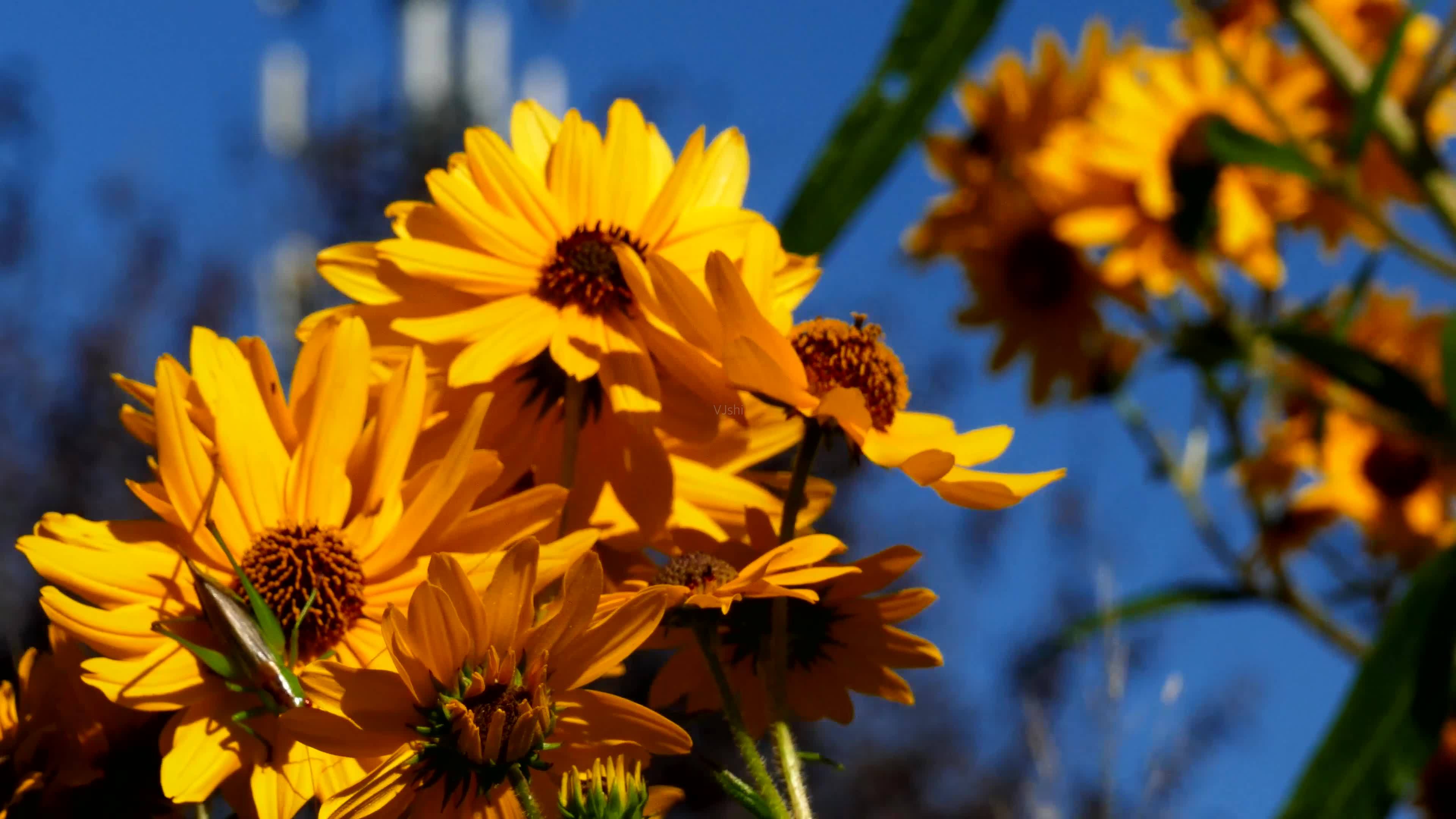 别去想对谁有依赖感,他在挺好,他走了仍然吃得香睡得好.
