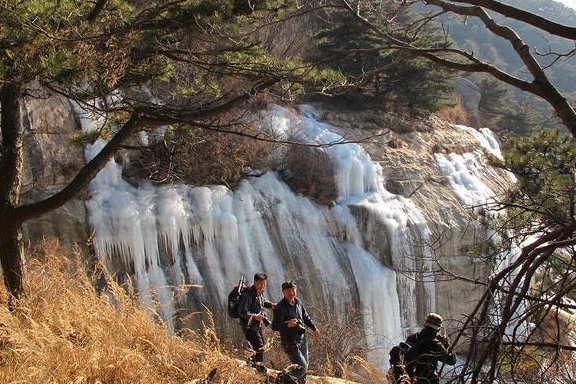 冬日，我们徒步沂山居然遇到了狐狸