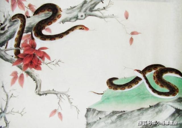 金蛇狂午升平岁，桂花香来是佳人是什么生肖指什么动物，仔细诠释解释落实