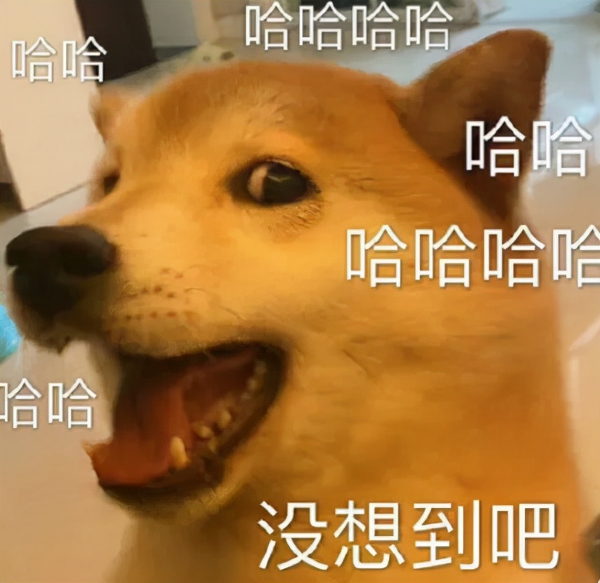 cae7a4b9a750415598f2fe44262f00f6.jpeg