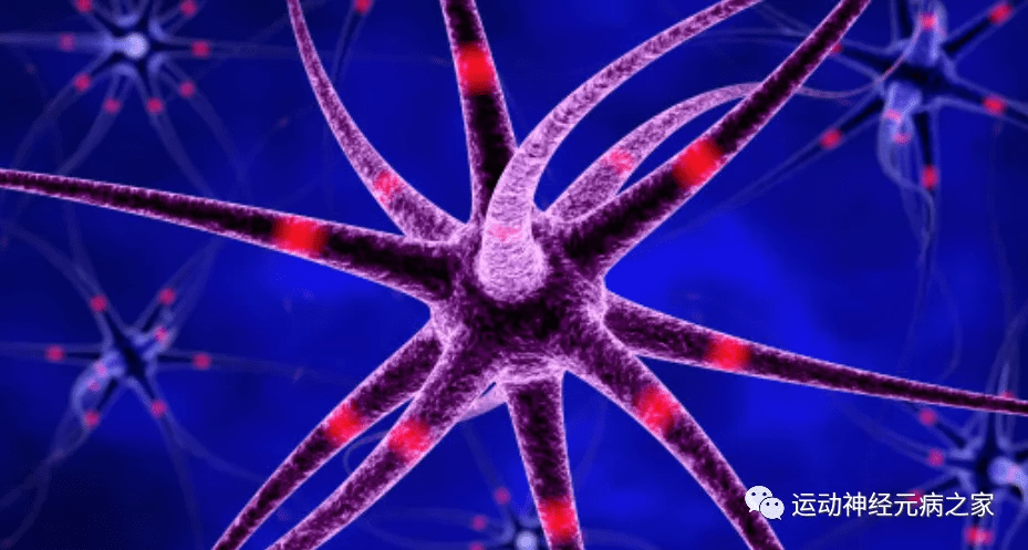 症状|运动神经元治疗!中医!意想不到的改善!
