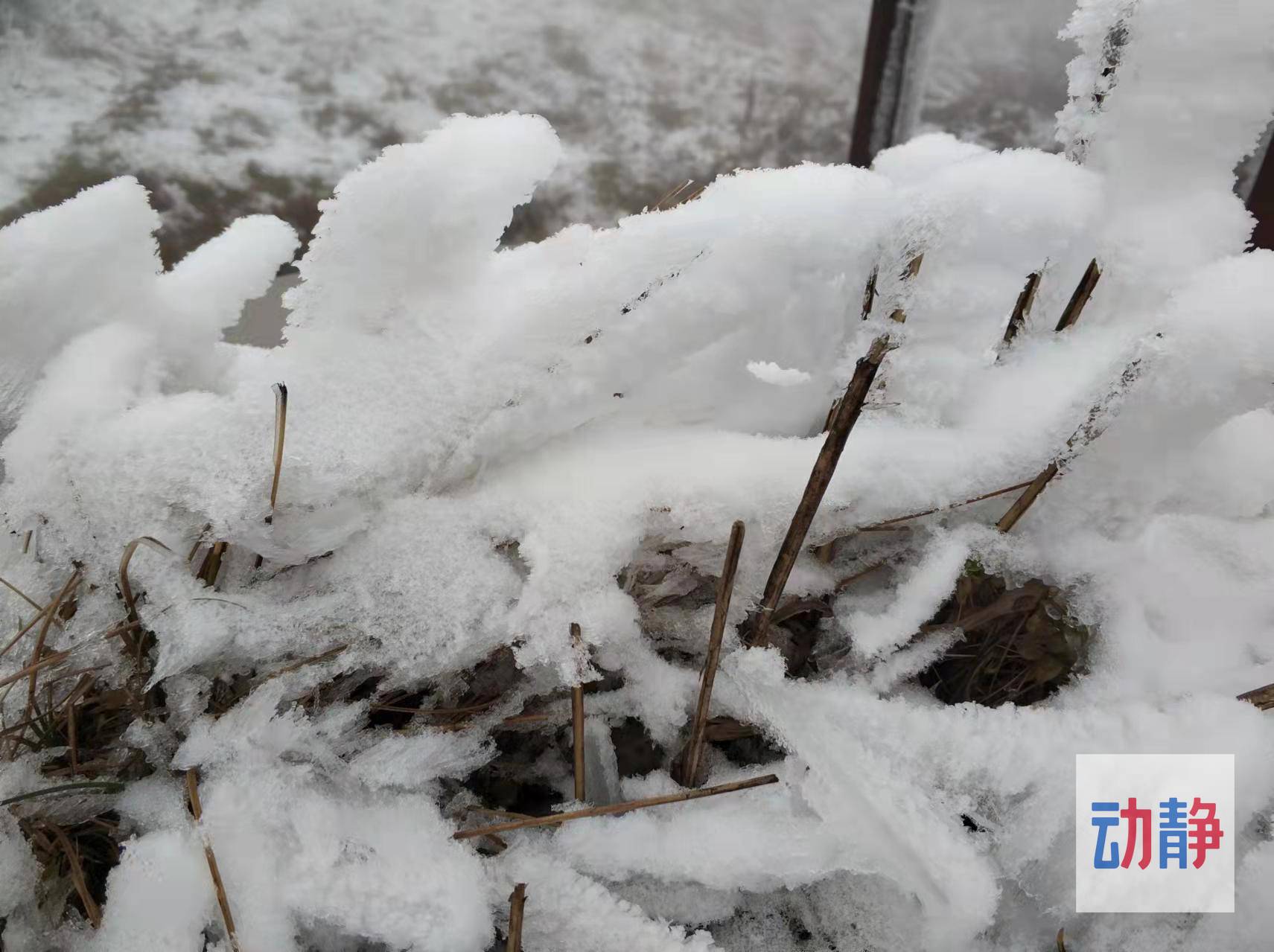 阻止不了|冰天雪地！快来贵州韭菜坪赏雪吧~