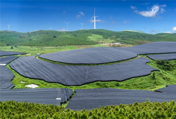 青睐|什么牌子的三七粉好?无公害养立方金三七备受青睐