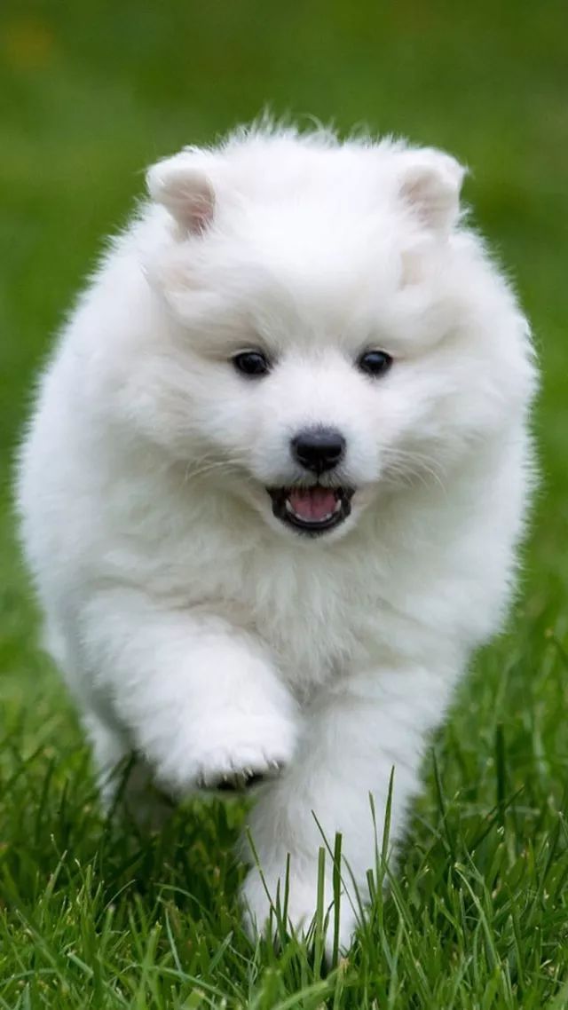 幸福就幸福得彻彻底底,悲伤,就悲伤得淋漓尽致.