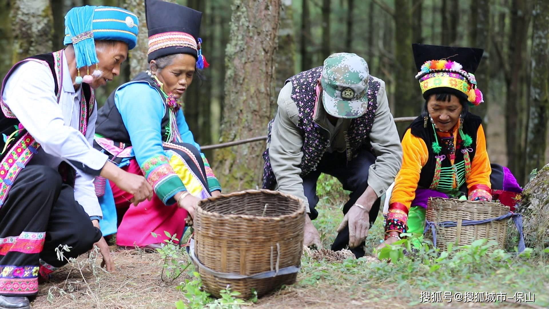 保山施甸：布朗山寨松果香 绿水青山成金山