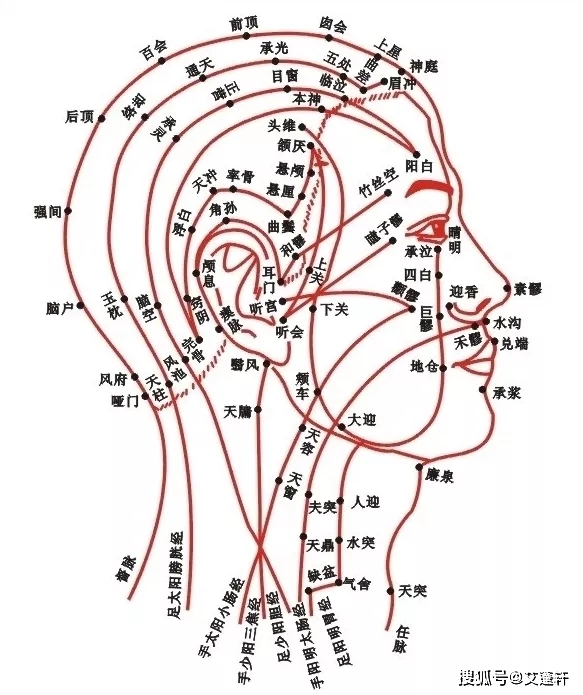 头疗的9条经络 分布图图片