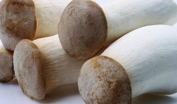 屎是什么成分组成的 970505f33c9743c3b3b1eac22a7f8184.jpeg