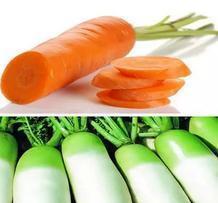 今年什么时间种红萝卜最好 a07c85e5010f46049cf247a4927882bc.jpeg