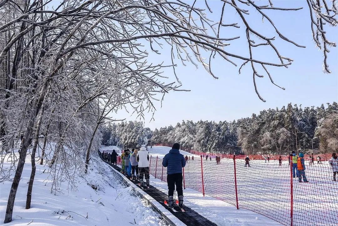 延安|净月潭滑雪场开板 一起约一段“冰雪奇缘”吧！