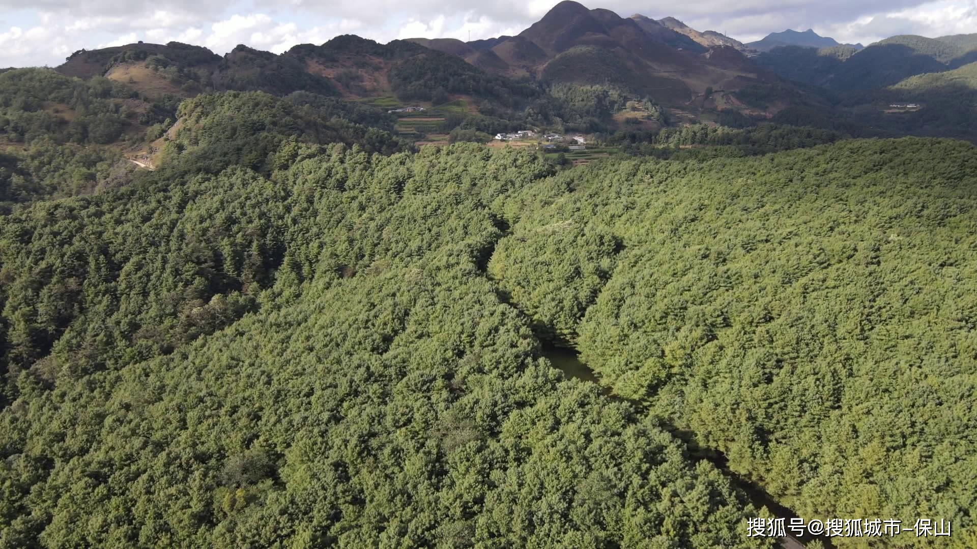 保山施甸：布朗山寨松果香 绿水青山成金山