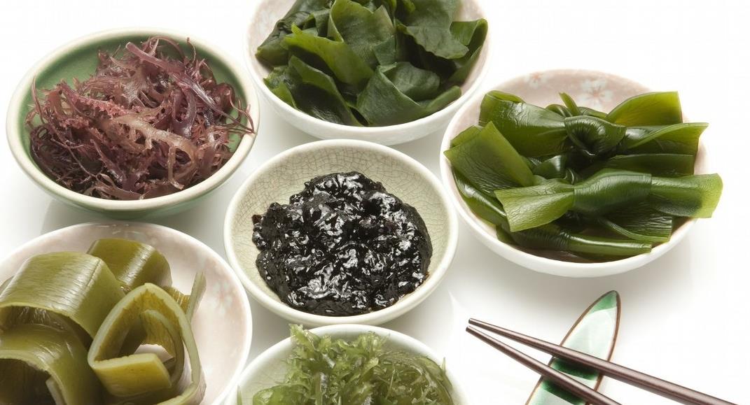 方法|老人常常没食欲,两味食谱教给你,豆腐木耳助开胃