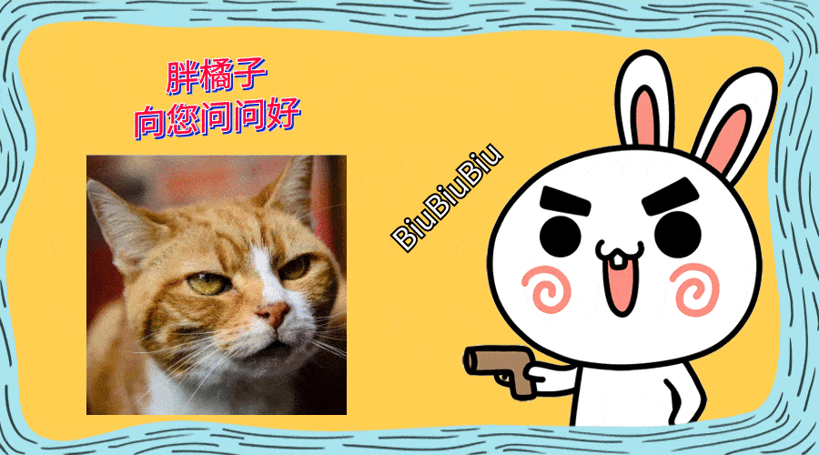 三花猫妈带娃见恩人，却意外“翻车”，2只小猫不领情，惹来邻居抱怨