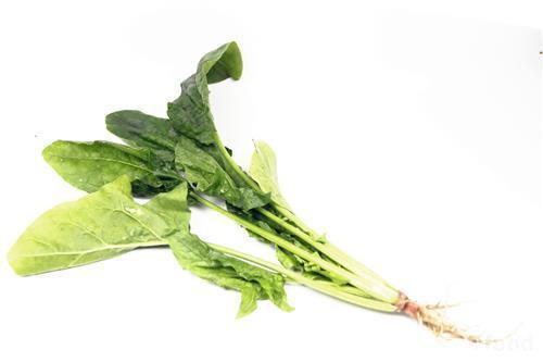 蔬菜|早餐营养不够 , 这几种蔬菜吃起来 , 满足你一天的需求