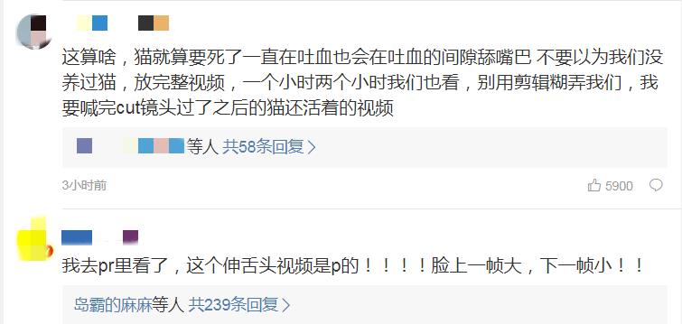 热播剧《当家主母》虐猫事件，孰真孰假？_拍摄时毒死真猫?当家主母剧组 