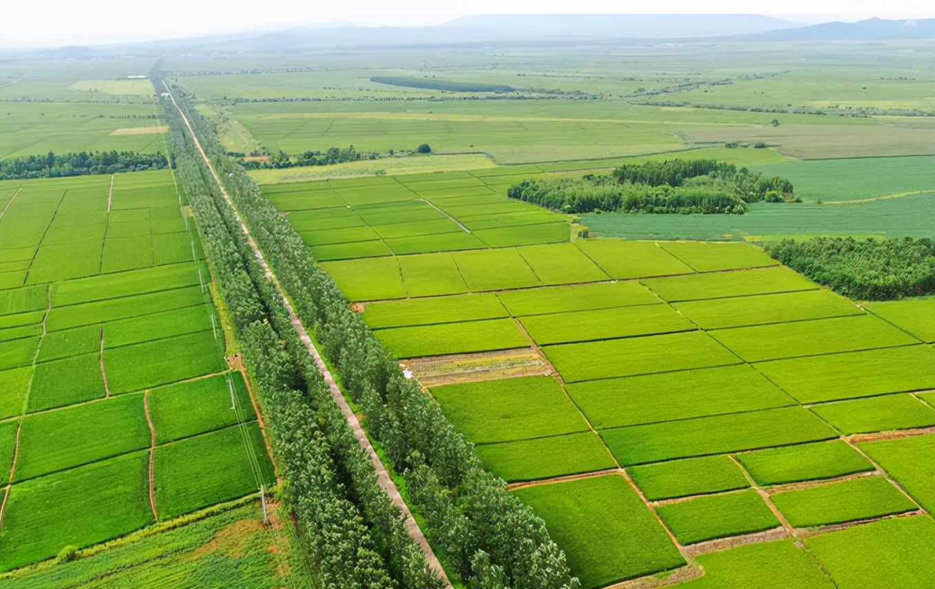 村民注意了!2022年农村土地新部署,优先发展新农村