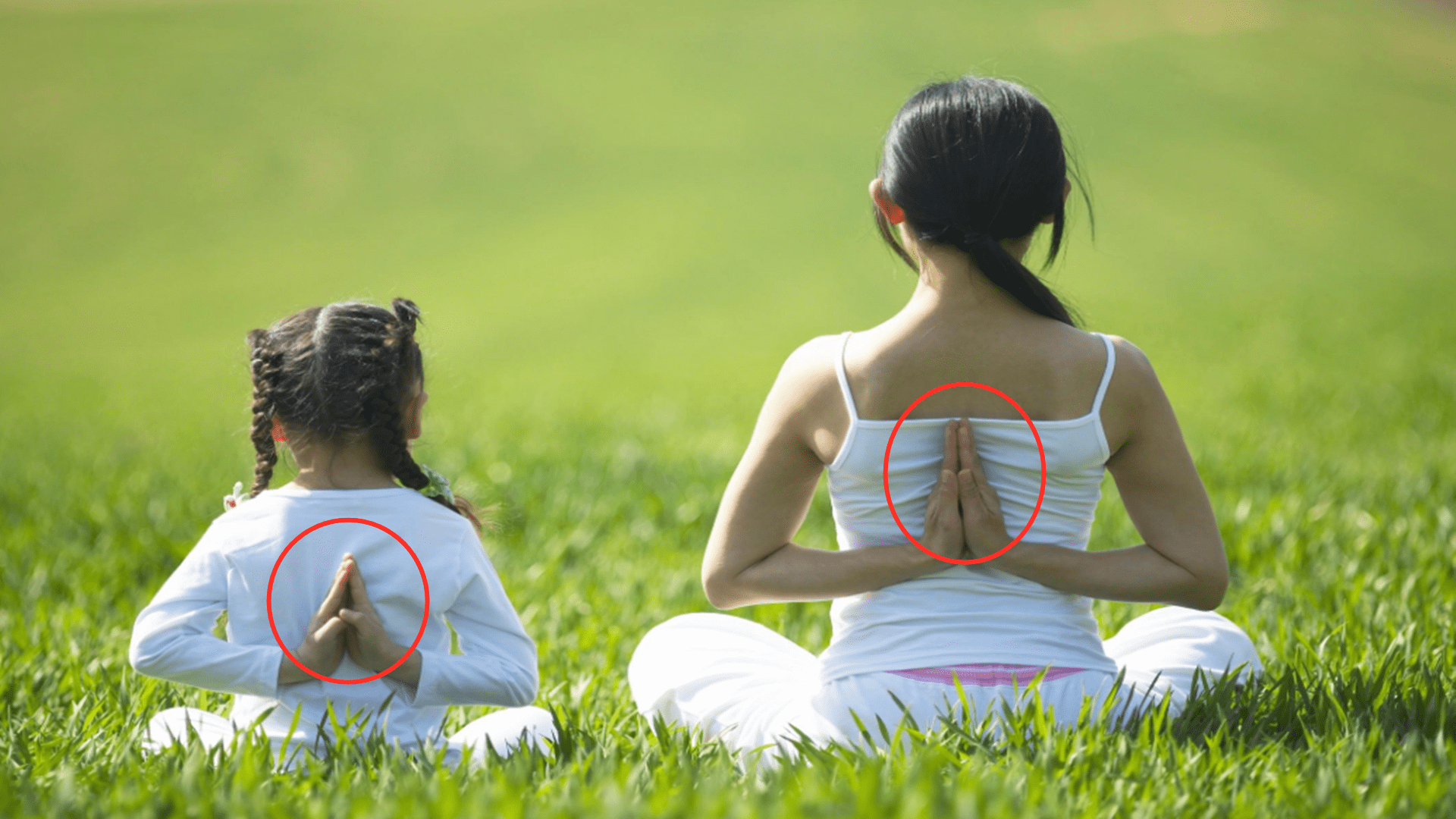 产品|41岁张静初提倡吃素被嘲？吃荤旧照被扒出，浅谈吃素的后果