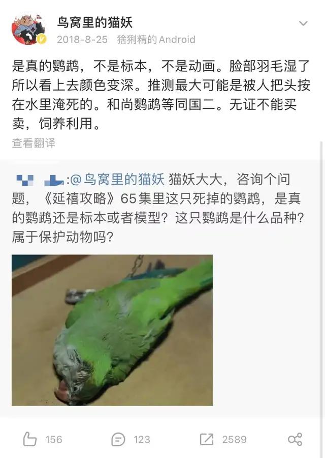 一只小白猫，让《当家主母》的评分一降再降_虐猫争议后《当家主母 