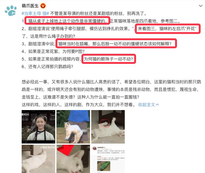剧情|《当家主母》疑有虐猫剧情？剧方回应后却被萌宠博主质疑