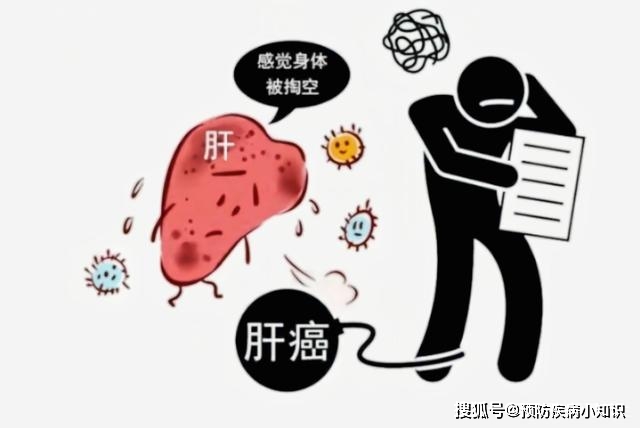 如何逆转中度脂肪肝 3ee1dc15dcb24bda982cd1ff214bcae0.jpeg