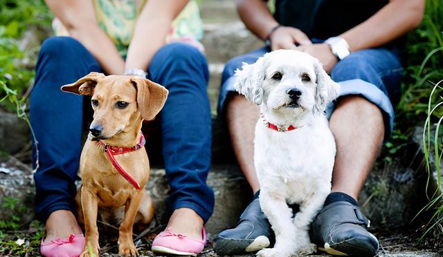 45b55a216a7b43dfbb265591ab9ec483.jpeg