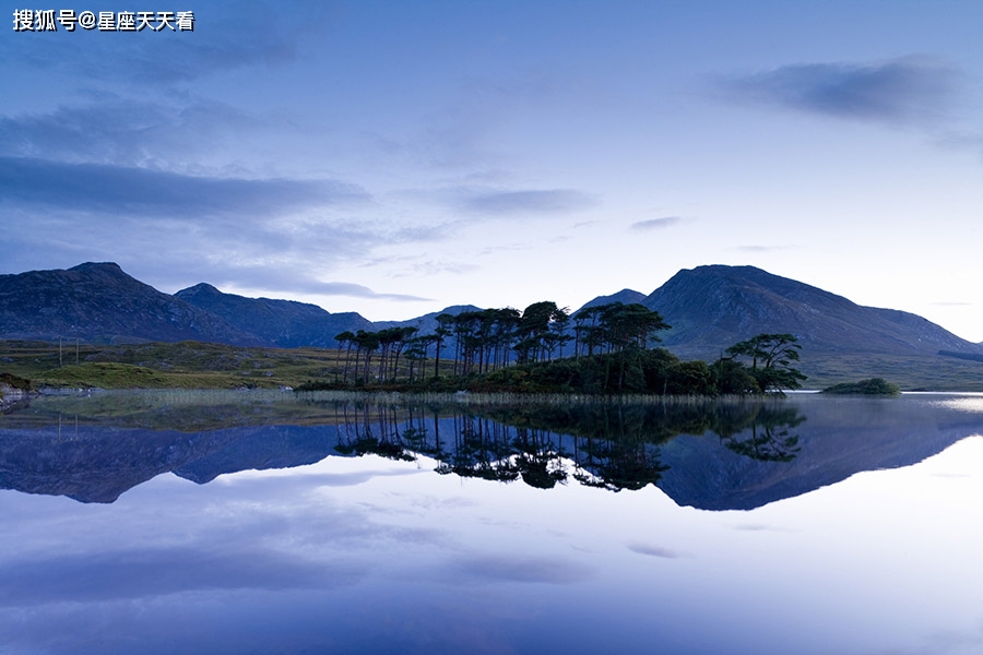 属鼠的人属相五行属水,其中72年生的属鼠人,纳音为桑拓木,称为"木鼠"