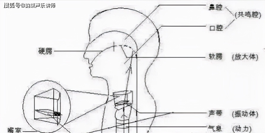 唱歌技巧头腔共鸣口腔共鸣和胸腔共鸣的训练方法