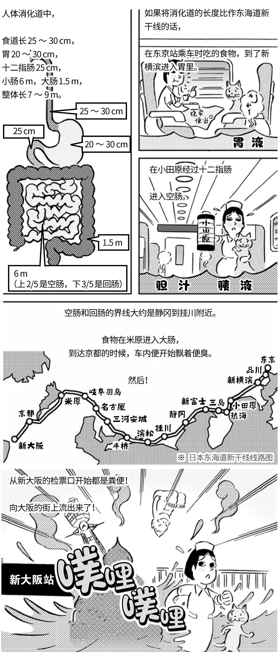 媲美《工作细胞》的漫画人体百科，从零开始的解剖生理学_手机搜狐网