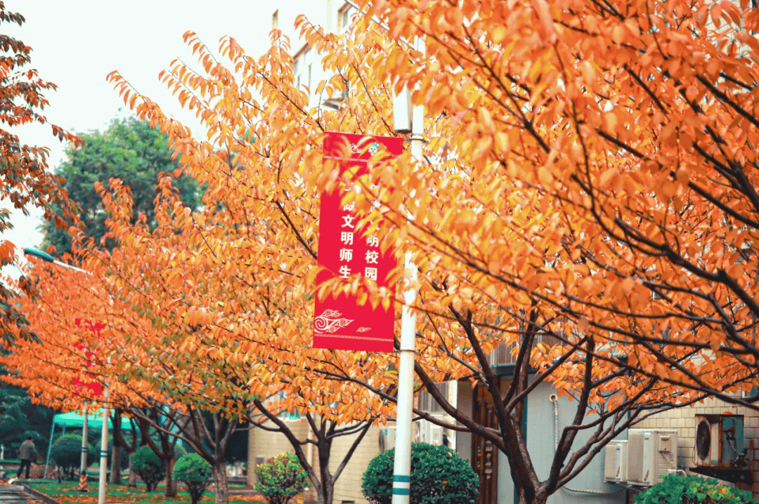 什么|德育天下，师爱满人间——学生眼中的刘虹老师