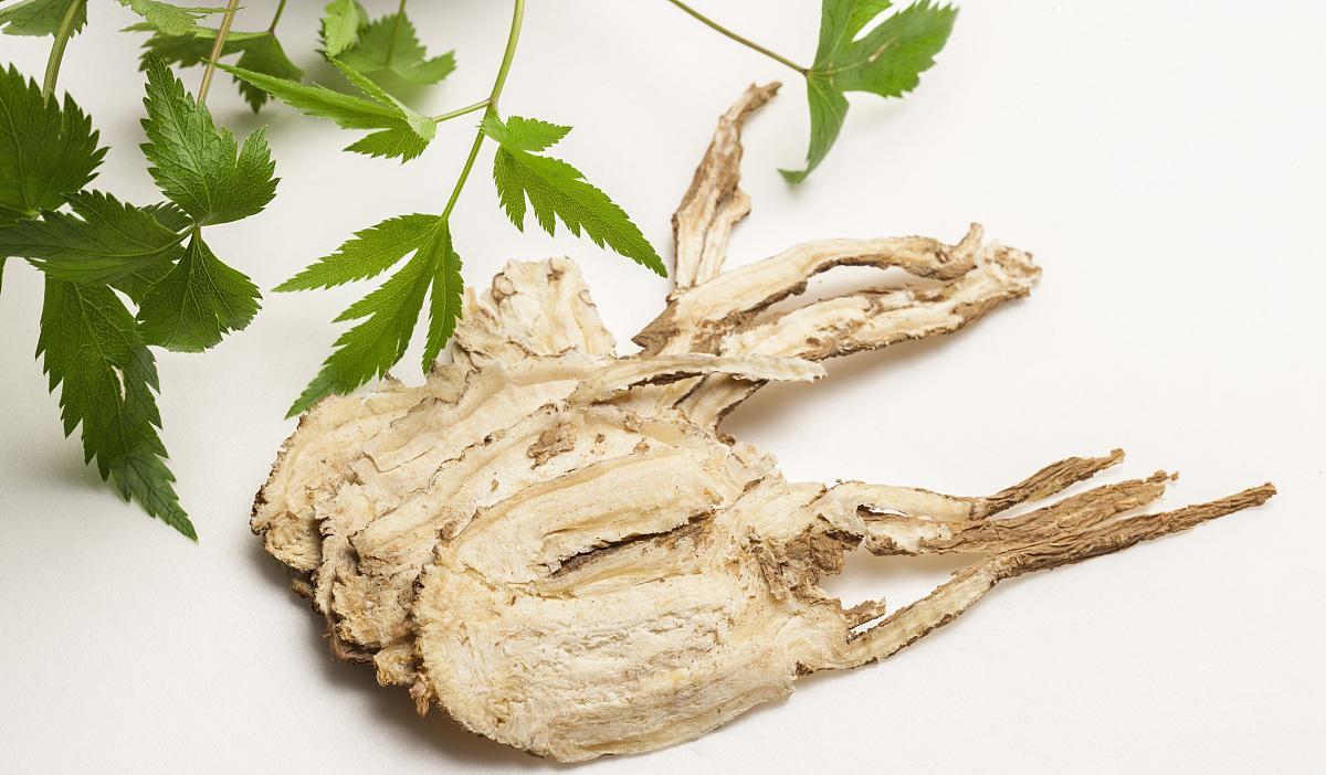 当归调血是妇科圣药，但这4类人可不要滋补过头了，记住了吗