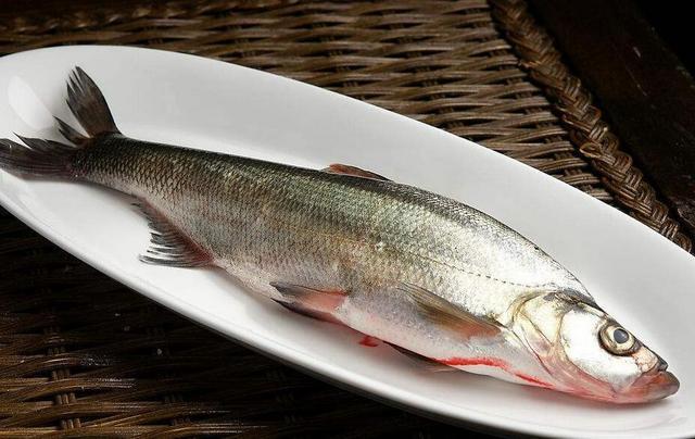 教你炖出奶白色鱼汤的方法!_腥味_草鱼_鱼肉