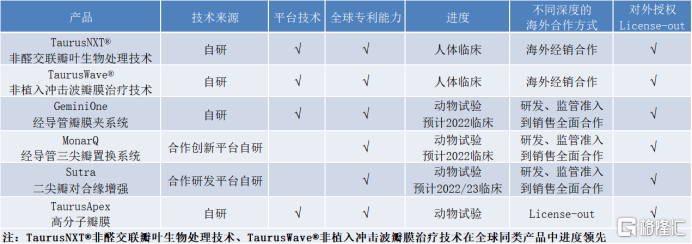 眼光|沛嘉医疗-B（9996.HK）：引领瓣膜领域创新方向，国际化布局极具前瞻眼光