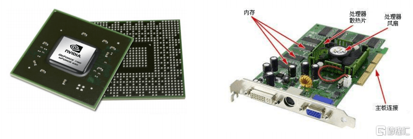 100天速成独角兽，这个赛道卷起来了